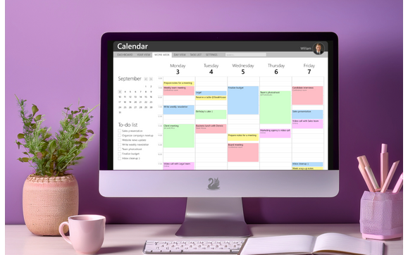 Executive Partner Flow by Swan Effect Partners
