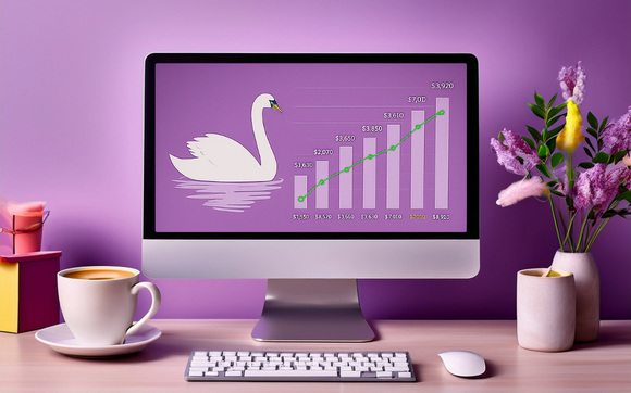 Finance Flow by Swan Effect Partners