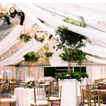 Entertainment Booking by Party Plus Tents + Events