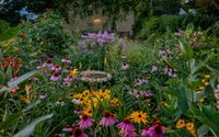 Ecological Landscape Design by All the Buzz, LLC