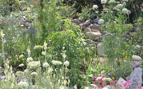 Sustainable Landscaping by Marion Shaw Greenscpae Designer