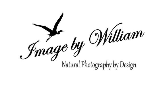 Matting & Framing by Imagebywilliam.com