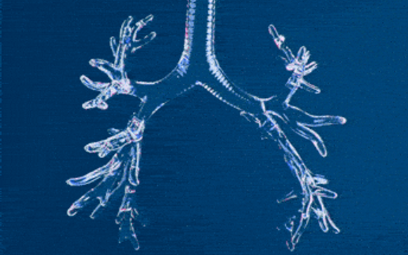 3 Part Online Breathwork Series by Tattoo Therapy