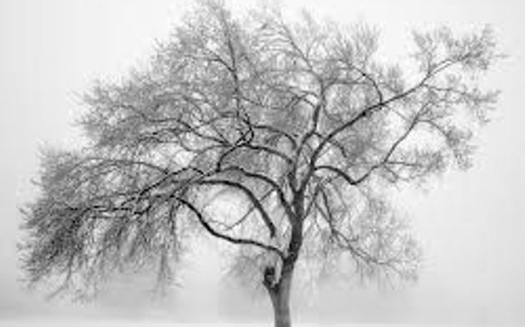 Winter Weddings! by NJ Vows Now