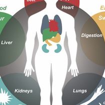 Holistic (Whole Body) Healing by Center for Natural Healing