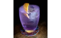 Intimate Cocktail Experience  by Clear Ice & Bitters