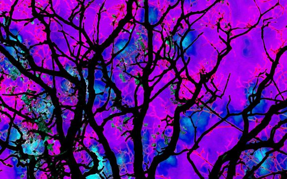 Art Sales by Oz Fine Art Studio LLC