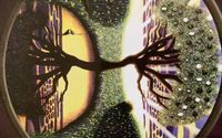 Prescription to your Path of Health  by Elemental Energy Healing