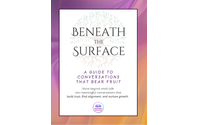 Beneath the Surface: A Guide to Conversations That Bear Fruit by Germane Learning