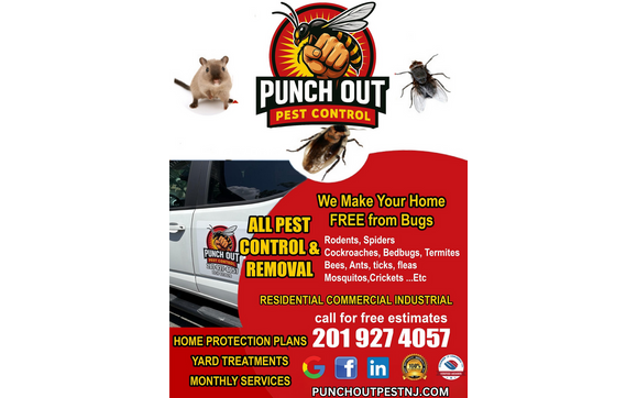 Pest Control Services by Punch Out Pest Control