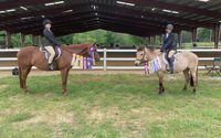 Riding lessons by Castle Farm, LLC