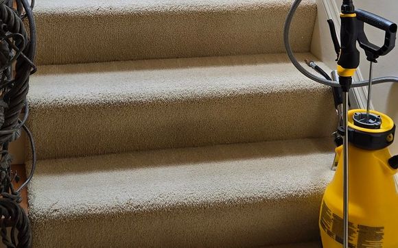 Carpet & Upholstery Cleaning by Kentwood Carpet Cleaning