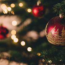 15% off first time buyers and cash back on every purchase by Dikata Wellness and Ultimate Women's Wellness Summit