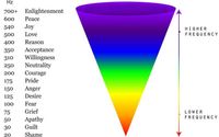 Emotion Code by VLB Life