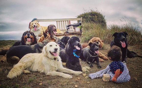 Dog Training  by Good Dog for Life LLC