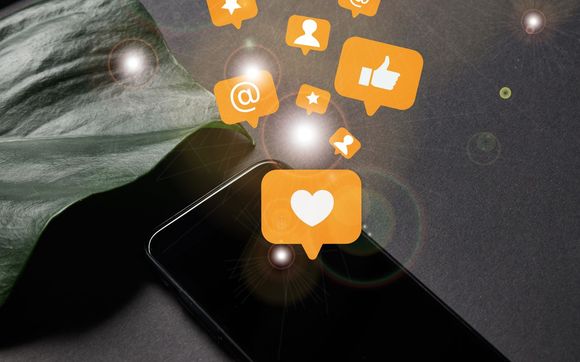 Social Media Management by DK Web Design