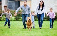 Lawn Care Service by Adam's Pest Control