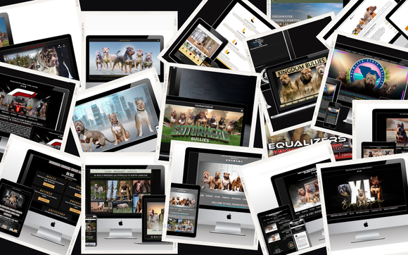 Pet Related Web Design by Breeder Designs 