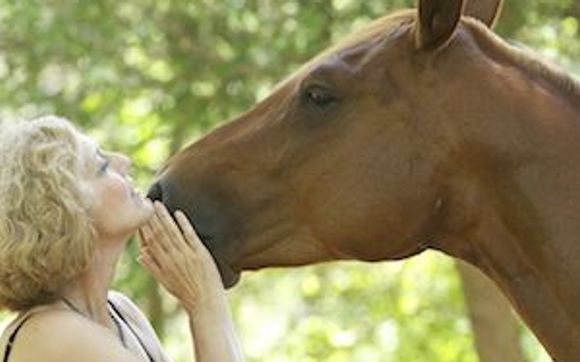Essences for pets and horses by Enlightened Feelings