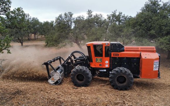 Cedar Mulching by Cactus Creek Land Clearing