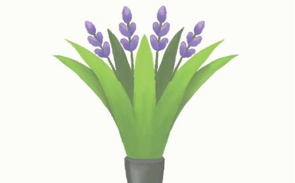 Organic plant based organic cleaning services for residential and light commercial spaces   by Organic-Maid