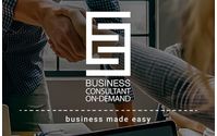 Business Consulting by Business Consultant On-Demand