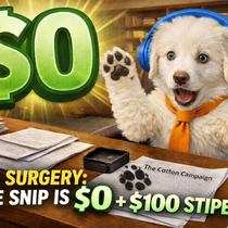 Spay and neuter Initiative Program  by Animal-Angels Foundation 