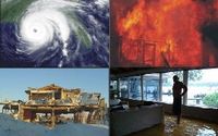 Public Adjuster by Gold Star Adjusters