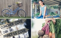 Commercial Photography by Tammy Hanratty Photography Inc
