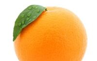 You will love our CITRUS! by Citrus Bright, LLC