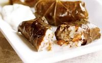 Stuffed Grape Leaves with Tzatziki Sauce by Coffee Bianco
