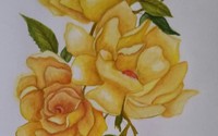 Water Color Note Cards, Framed Water Color Painting  by Custom Art Designs LLC