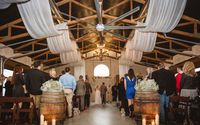 Ceiling Draping by The Wedding Arch