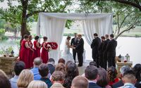 Backdrops by The Wedding Arch