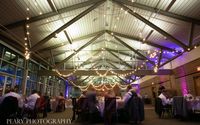 Lighting by The Wedding Arch
