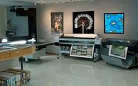 Large prints up to 64" wide on many materials by Parrot Digigraphic, Ltd