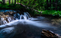 Social Media, Close Ups, Portraits by Photographer/ IT Sr. Business Analyst