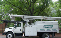 Tree pruning and removal  by McFarland Tree Care