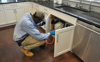 Termite and Pest Control Services by License To Kill, Inc.