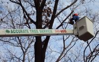 ACCURATE TREE SERVICE AND STUMP GRINDING, LLC by Accurate Tree Service and Stump Grinding, LLC - PHONE: 608-347-8510
