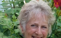 dreamwork programs, trainings, workshops, seminars, for community, corporate, mental health and wellness organizations by Dreamwork, nightmare healing and workshops for body, mind, and spirit
