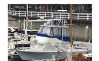 Sport fishing by Four Reel Sportfishing
