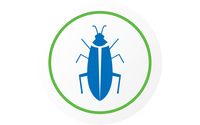 Pest Control by Active Pest Control