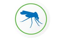 Mosquito Control by Active Pest Control