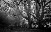 Estate Planning by The Cardwell Firm, PLLC