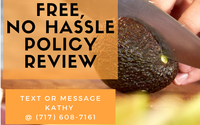 Policy Review by Us Health Advisor