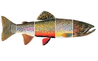 Private Fly Fishing Club  by Feathered Hook of Jackson Hole