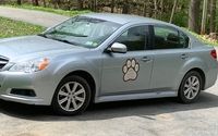 Fear Free, First Aid and CPR Certified Pet Care by Becca's Happy Paws Pet Care