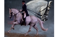 Dressage riding lessons by Classical Legacy Dressage