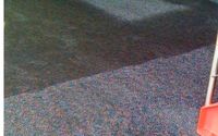 Commercial Carpet Cleaning by A Clean Solution